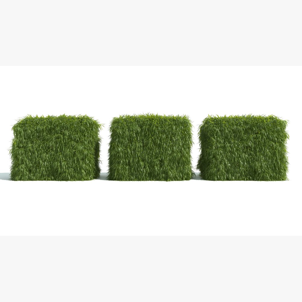 Grassy Cubes Bush Hedge 3D-Modell
