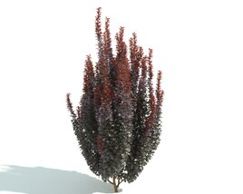 Autumnal Red Bush Hedge Modelo 3d