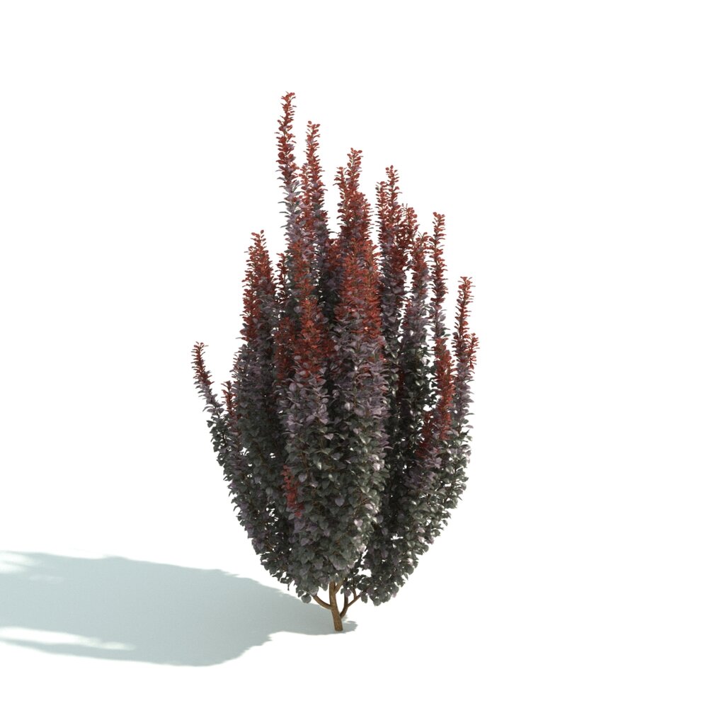Autumnal Red Bush Hedge 3d model