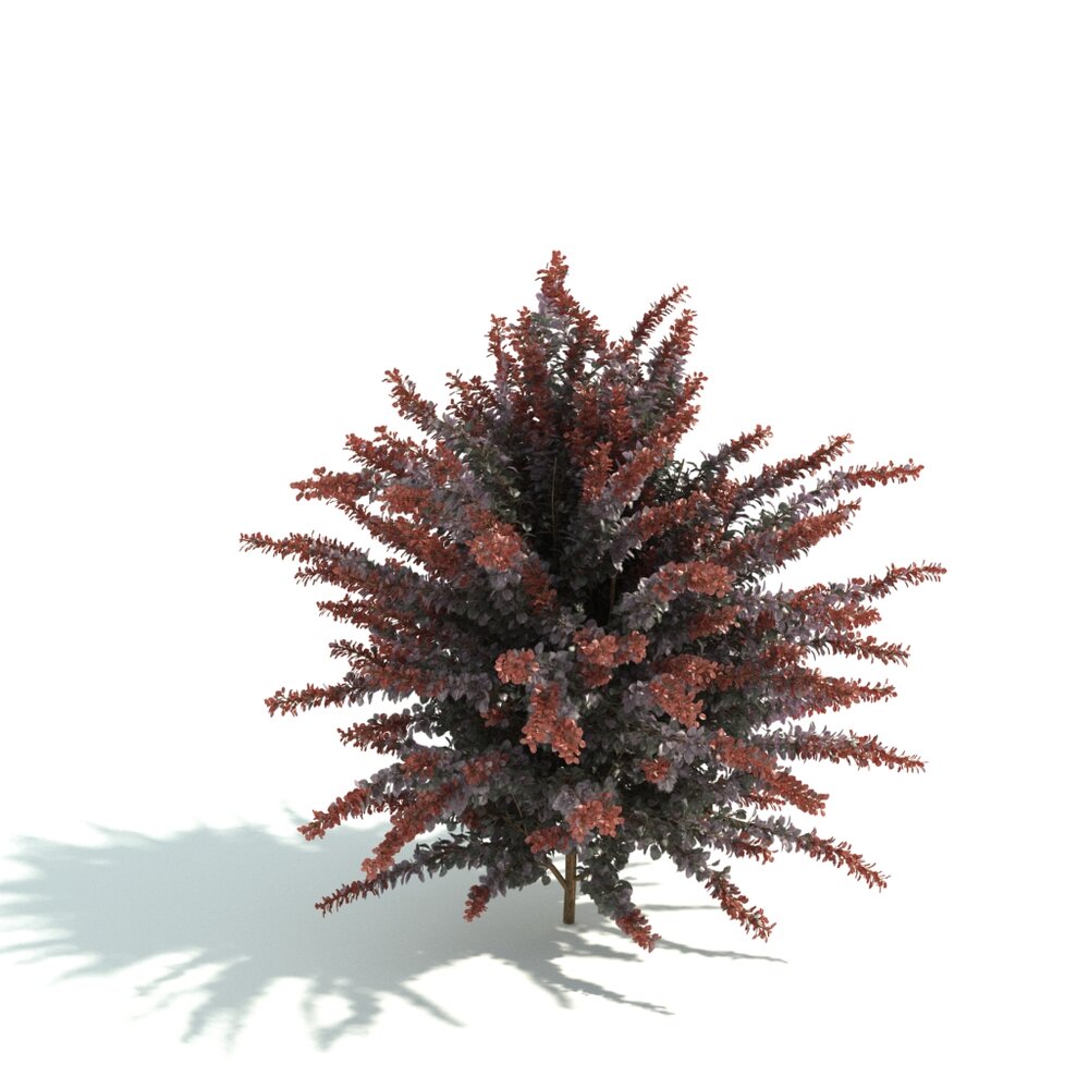 Decorative Artificial Red Bush Modello 3D