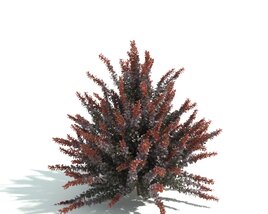 Red-Tipped Shrub Render 3Dモデル