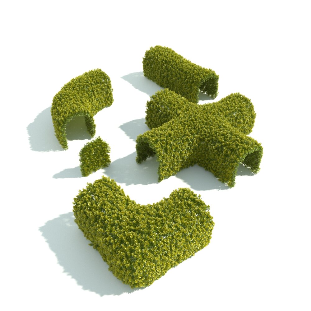 Green Ornamental Park Hedge Modello 3D