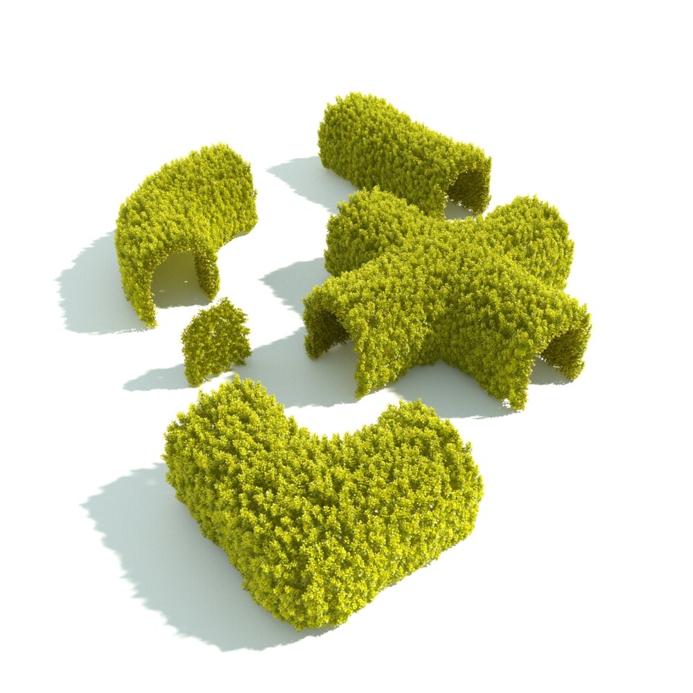 Ornamental Park Hedge 3D model