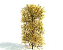 Golden Autumn Tree 3D 모델 