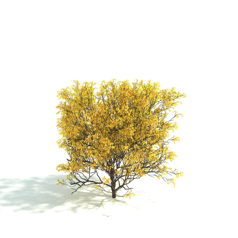 Golden Autumn Shrub 3D 모델 