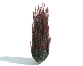 Verdant Red-Tipped Plant 3D модель