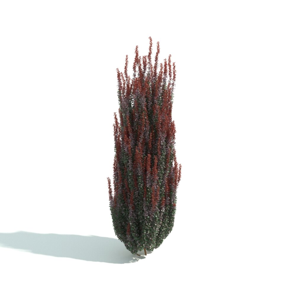 Verdant Red-Tipped Plant 3D модель