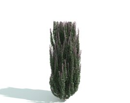 Tall Green Plant Hedge Modèle 3D