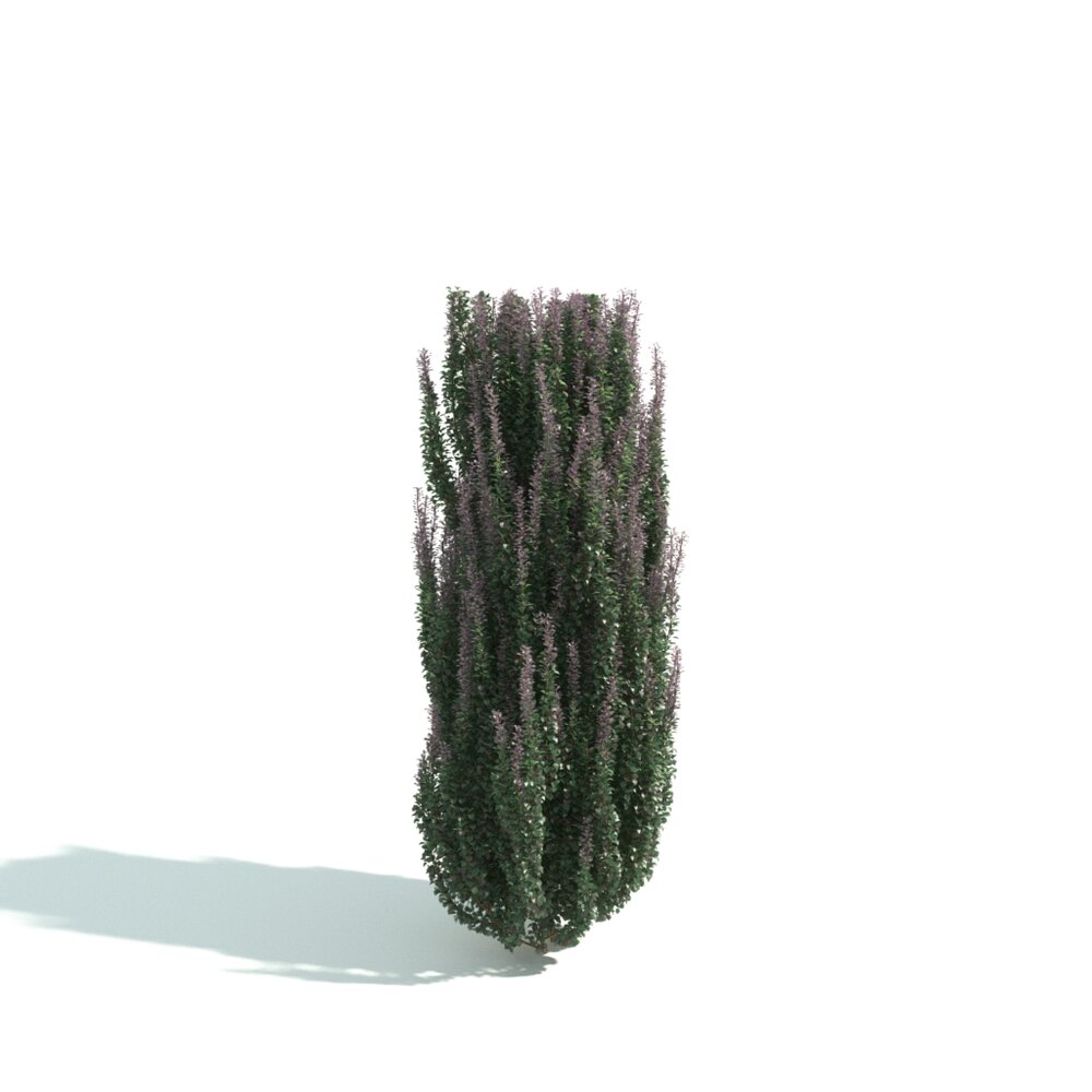 Tall Green Plant Hedge Modello 3D