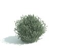 Green Shrubbery Hedge Modèle 3d