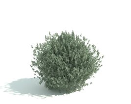Green Shrubbery Hedge 3D 모델 