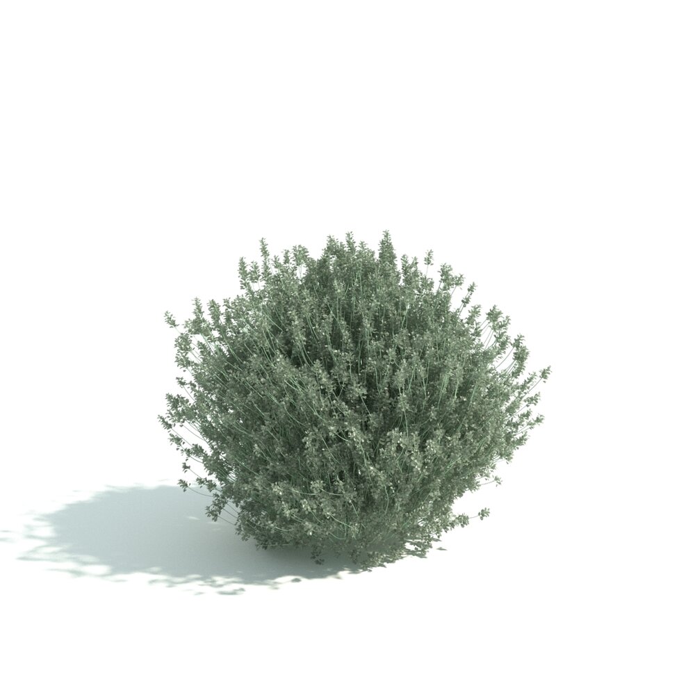 Green Shrubbery Hedge Modelo 3d