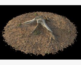 Tree Stump on Soil 3D 모델 