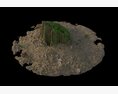 Isolated Tree on Barren Terrain 3D модель