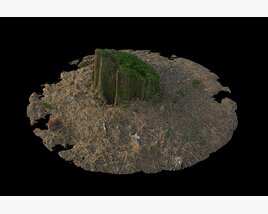 Isolated Tree on Barren Terrain 3D 모델 