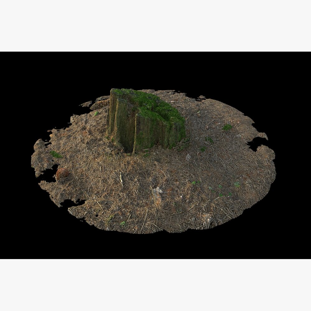 Isolated Tree on Barren Terrain Modelo 3d