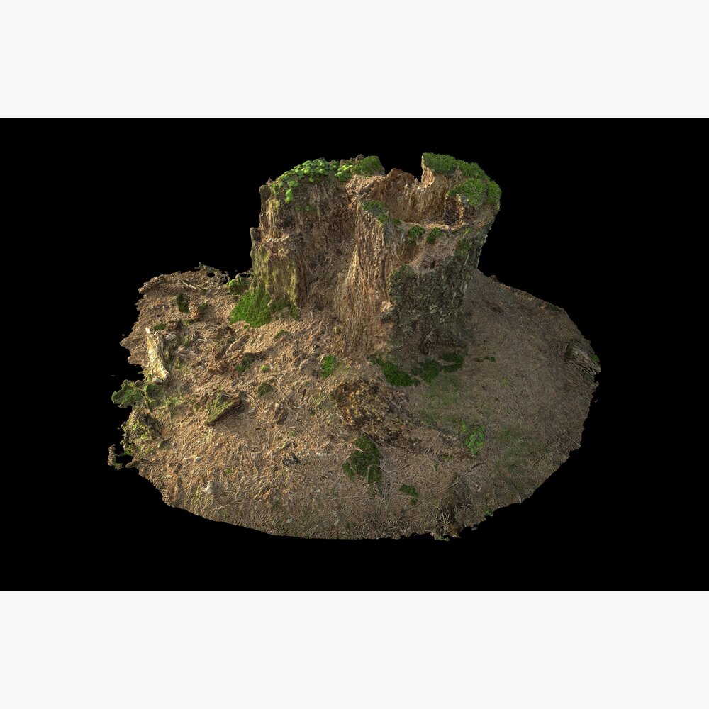 Rugged Cliff Formation 3Dモデル