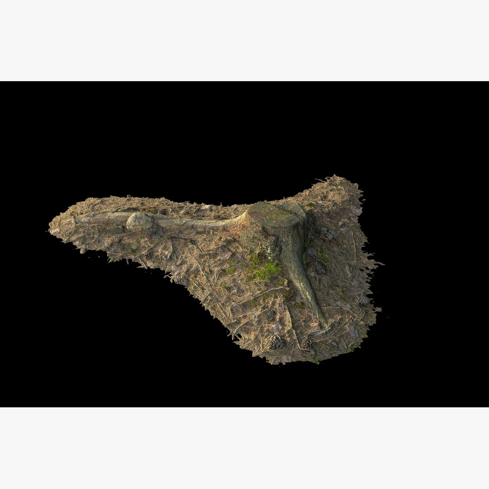 Floating Forested Landmass 3Dモデル