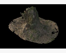 Isolated Tree Stump Modello 3D