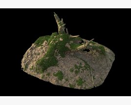 Tree Stump on Soil 02 3D 모델 