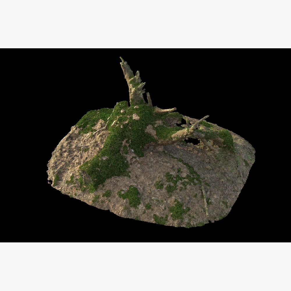 Tree Stump on Soil 02 3D-Modell