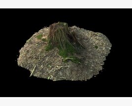 Tree Stump on Soil 03 3D модель