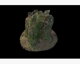 Tree Stump on Soil 04 3D-Modell