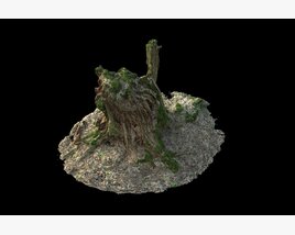Ancient Tree Stump 3D 모델 