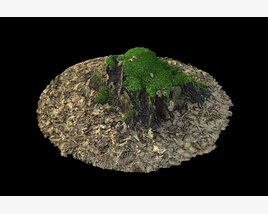 Tree Stump 03 3D 모델 