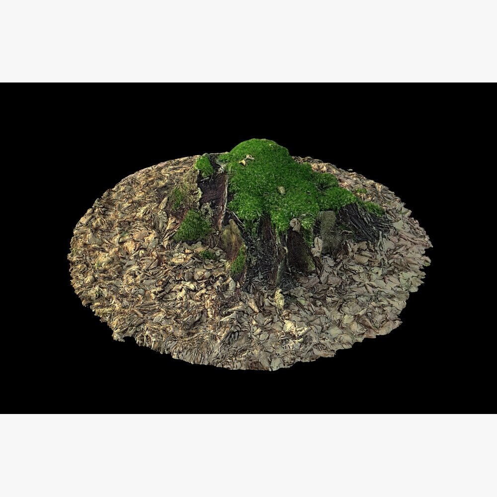 Tree Stump 03 3D модель