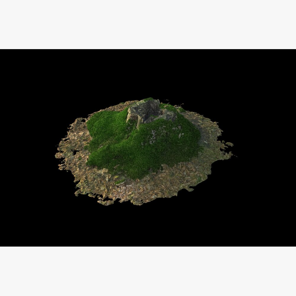 Tree Stump 05 3Dモデル