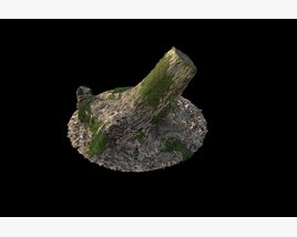 Tree Stump on Rock 3Dモデル