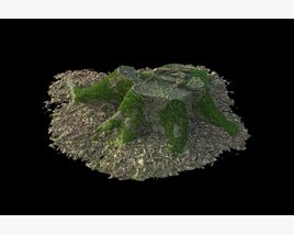 Tree Stump 06 3D模型