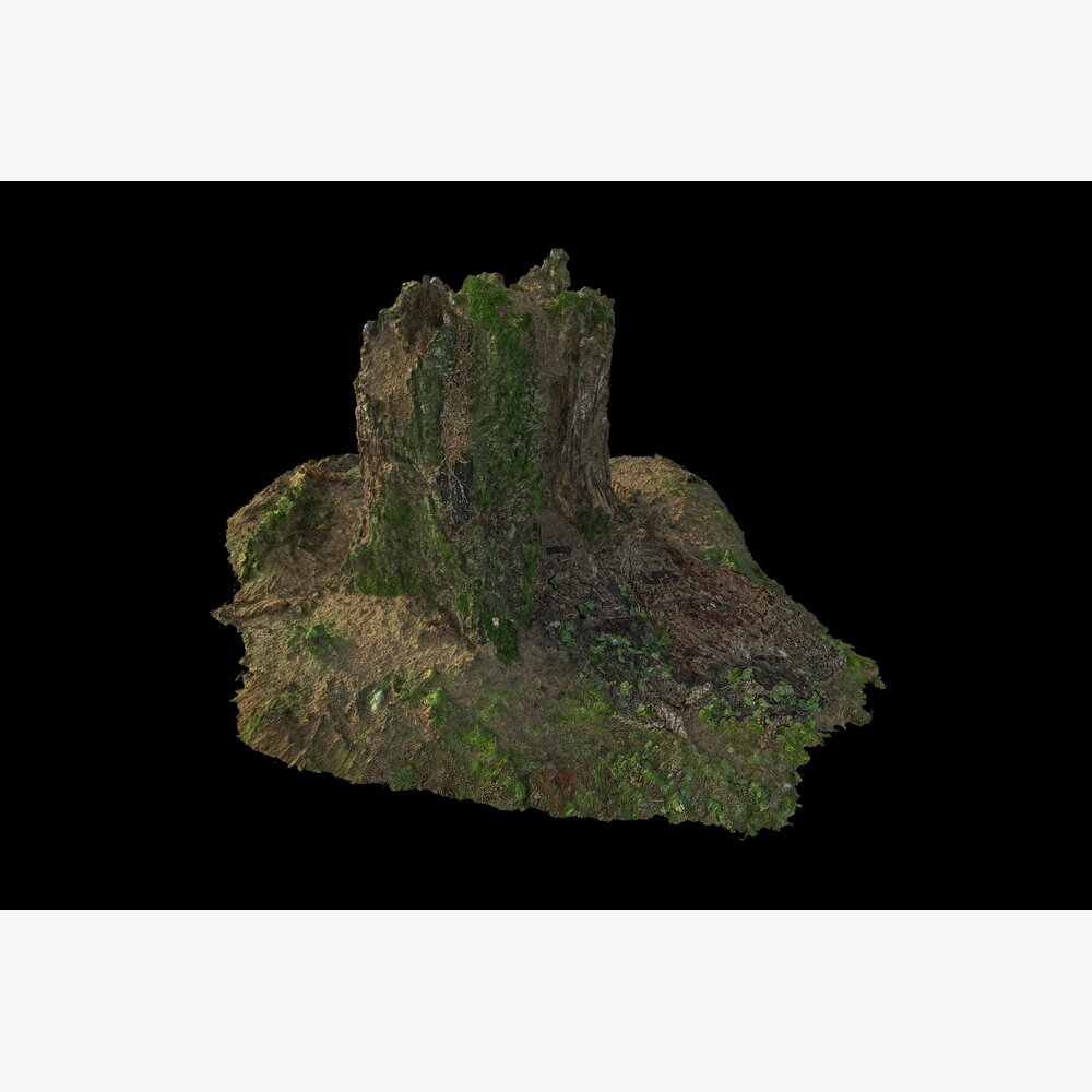 Tree Stump 09 3D модель