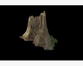 Tree Stump 16 3D модель
