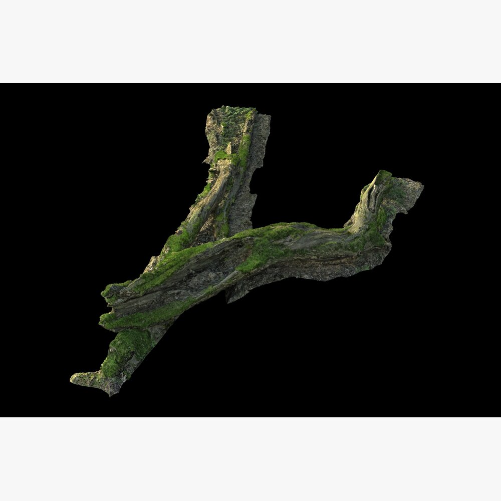 Tree Branch 04 3D模型