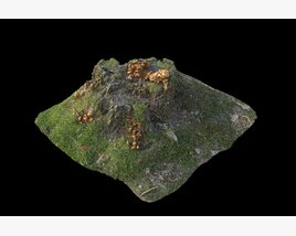 Tree Stump 28 3Dモデル