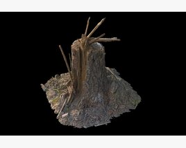 Tree Stump 29 Modèle 3D