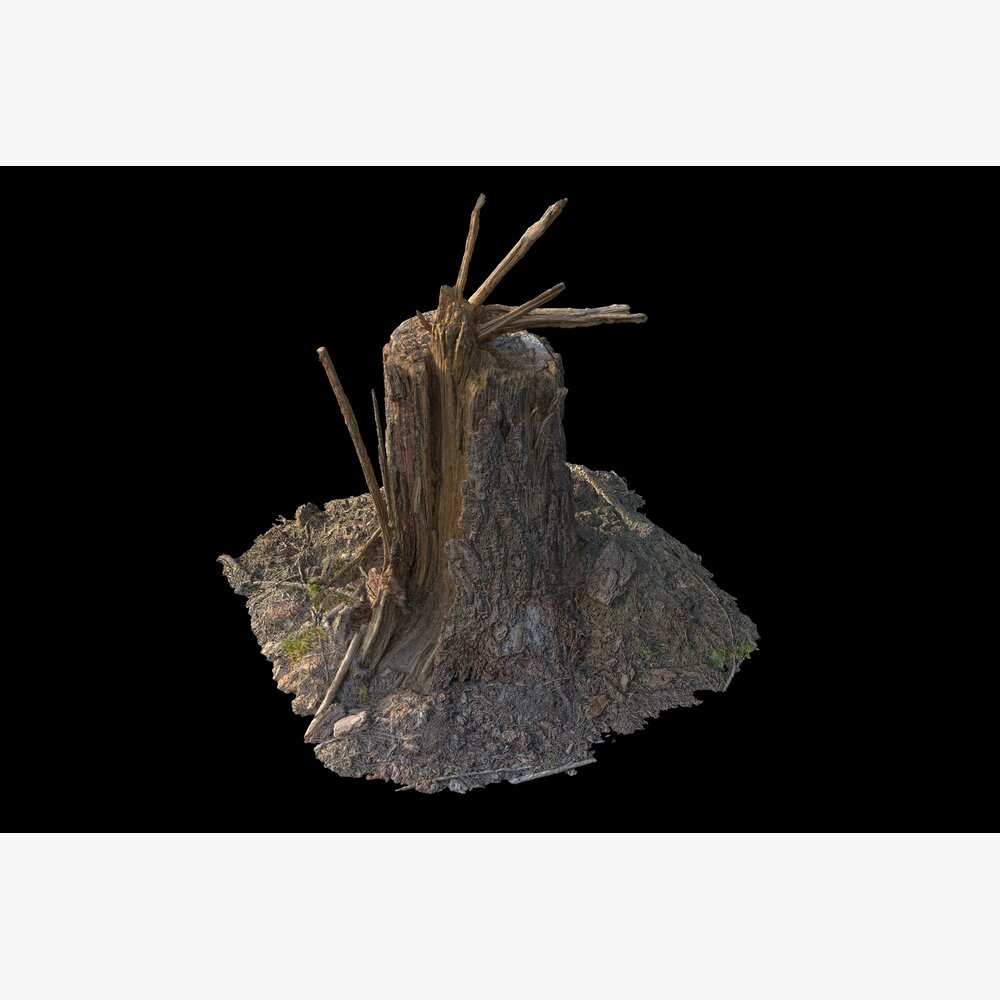 Tree Stump 29 3D модель
