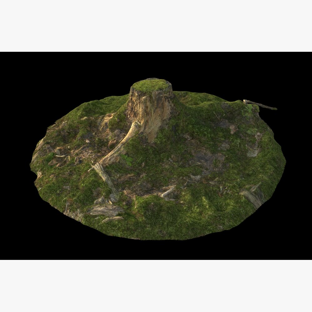 Tree Stump 34 3Dモデル