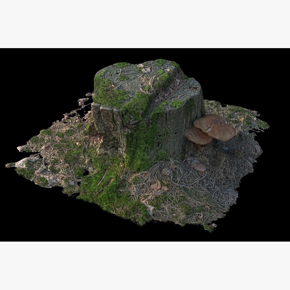 Tree Stump 35 Modèle 3D