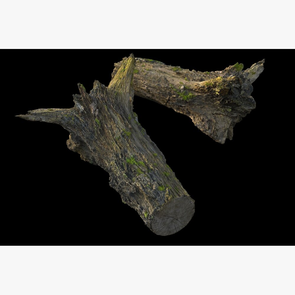 Tree Branch 42 3Dモデル