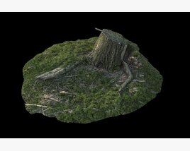 Tree Stump 36 3D-Modell