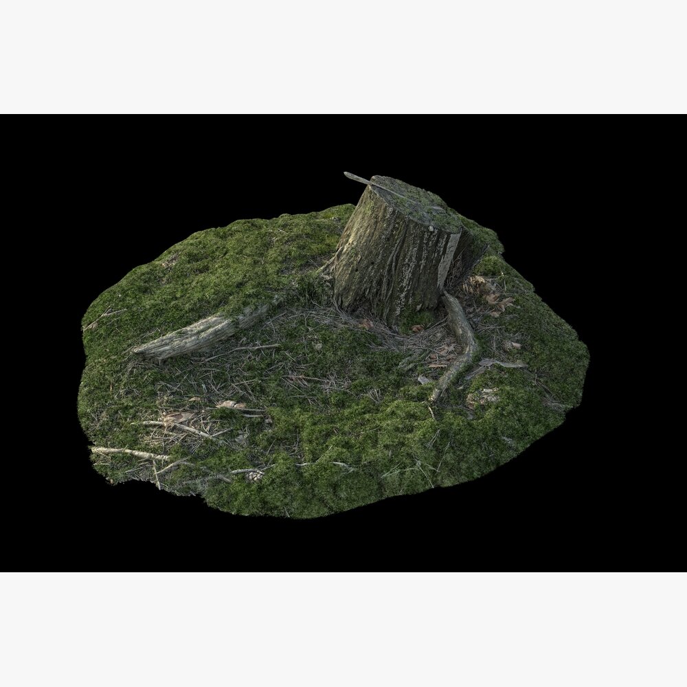 Tree Stump 36 3D模型