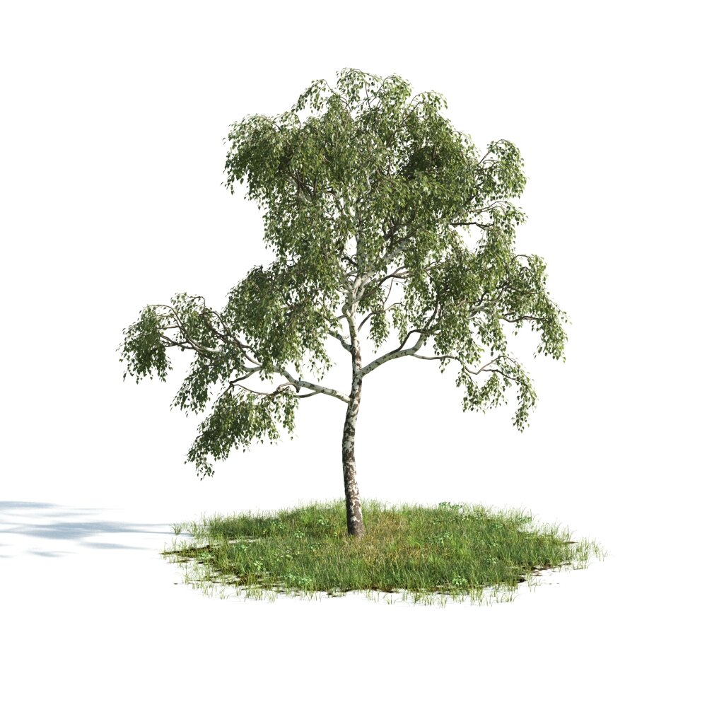 Lone Tree on a Grassy Patch 3D-Modell