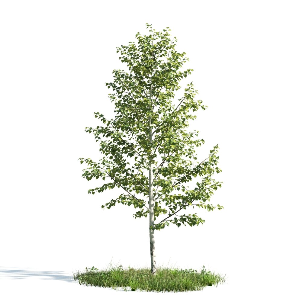 Solitary Tree 04 3D модель