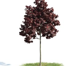 Burgundy Foliage Tree Modelo 3d