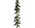 Evergreen Pine Tree 02 3D 모델 