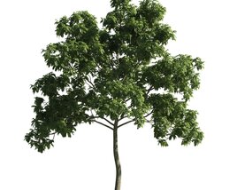 Verdant Tree 02 3D model