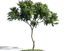 Solitary Tree 15 3D-Modell